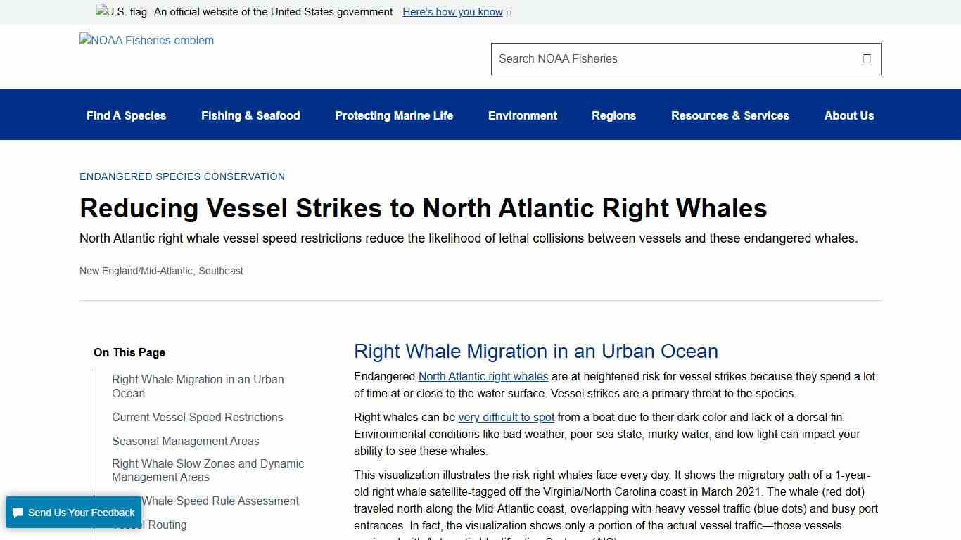 Reducing Vessel Strikes to North Atlantic Right Whales | NOAA Fisheries